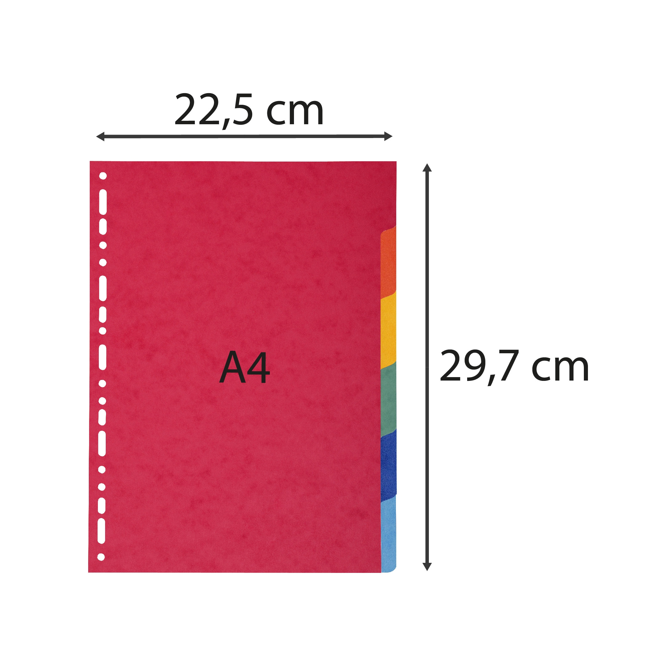 EXACOMPTA Intercalaires carte marbrée 220g/m2 6 positions - A4 