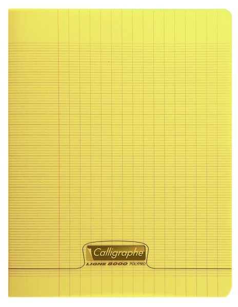 Cahier piqué 8000 POLYPRO 24x32 cm 48 pages grands carreaux 90 g